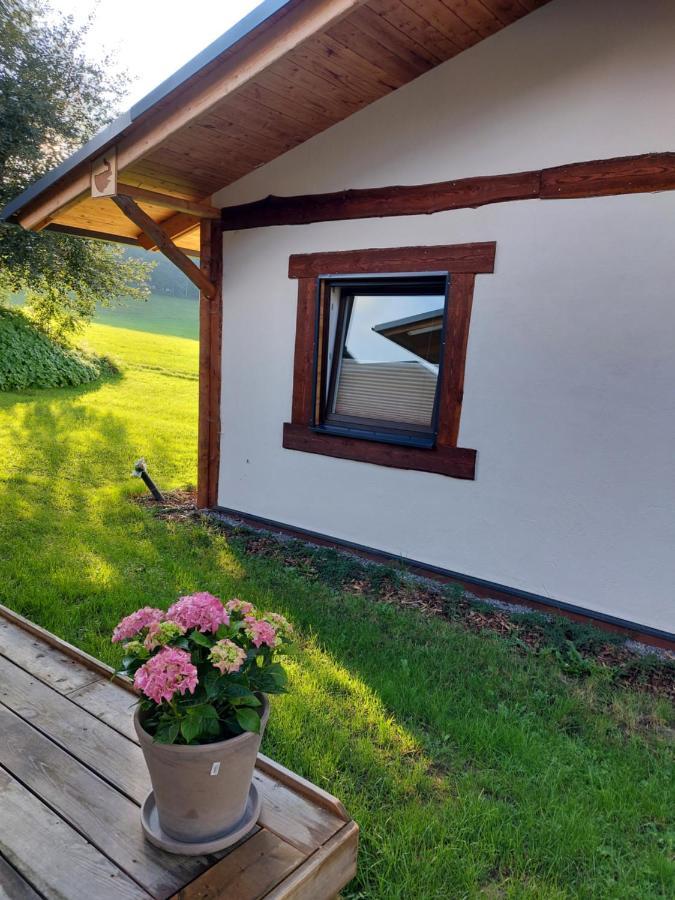 Elephants Ferienhaus Haus West Jahnsdorf (Erzgebirgskreis) Exterior foto